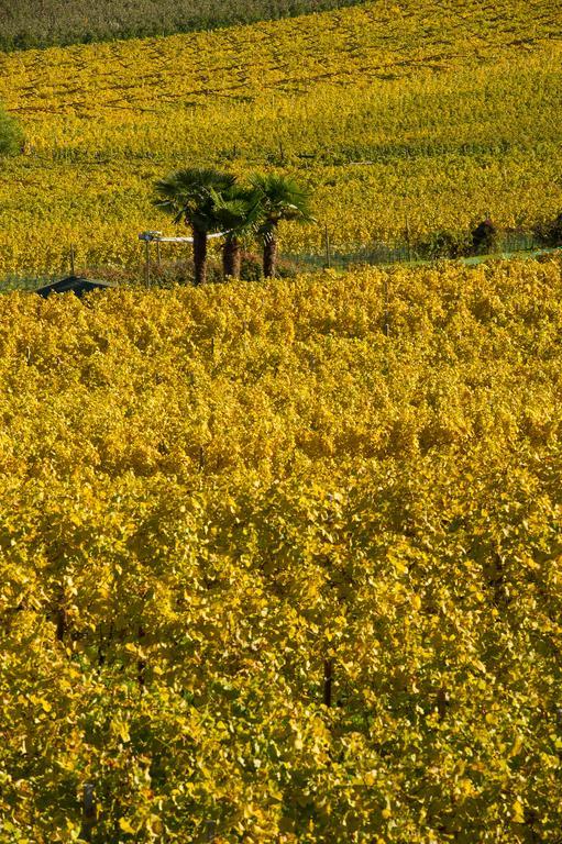 Weingut Wolkanhof Eppan an der Weinstraße Exteriör bild