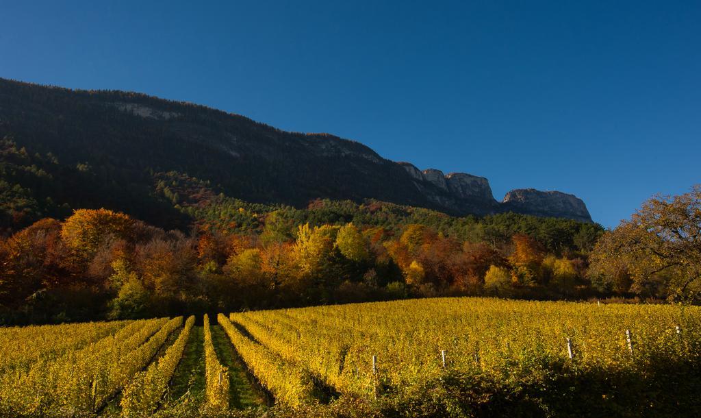 Weingut Wolkanhof Eppan an der Weinstraße Exteriör bild