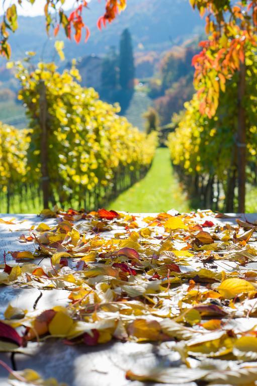 Weingut Wolkanhof Eppan an der Weinstraße Exteriör bild